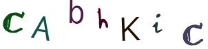 Bild-CAPTCHA