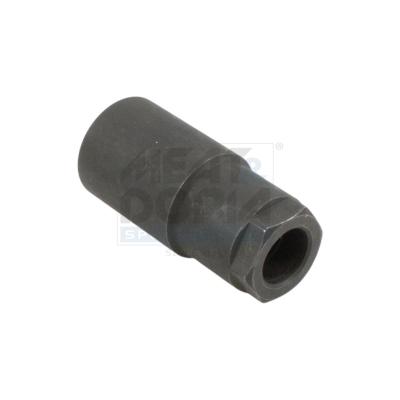Cod. 981053